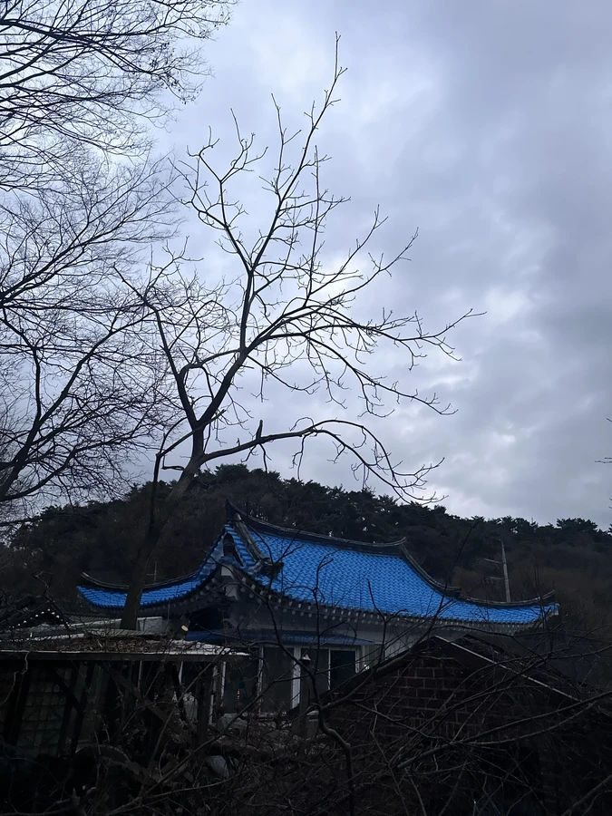 벌목,벌초