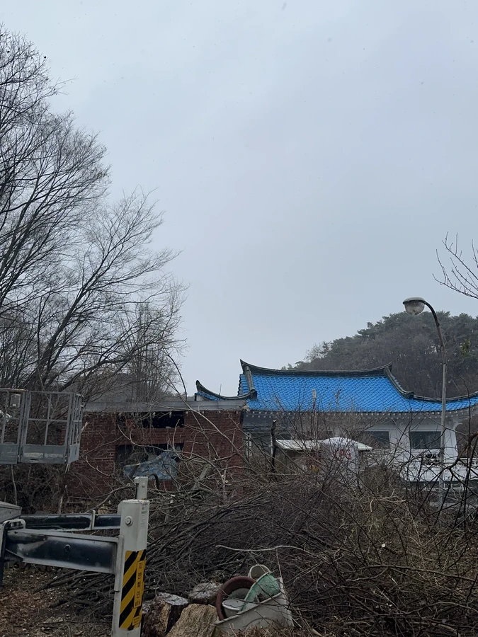 벌목,벌초