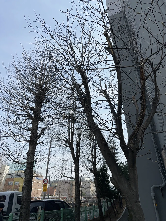 벌목,벌초