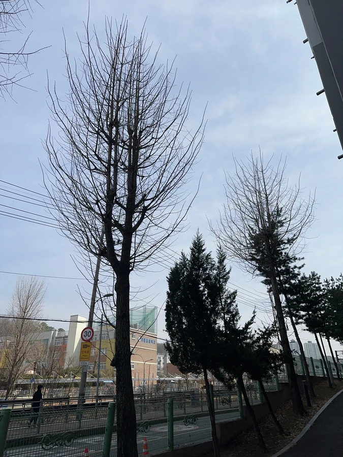 벌목,벌초