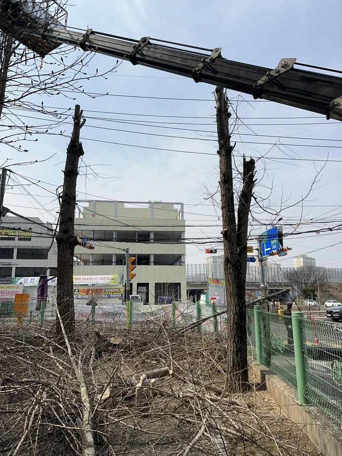 벌목,벌초