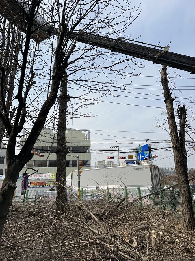 벌목,벌초