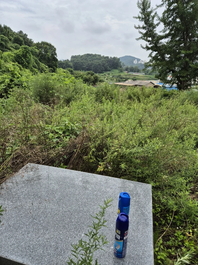 벌목,벌초