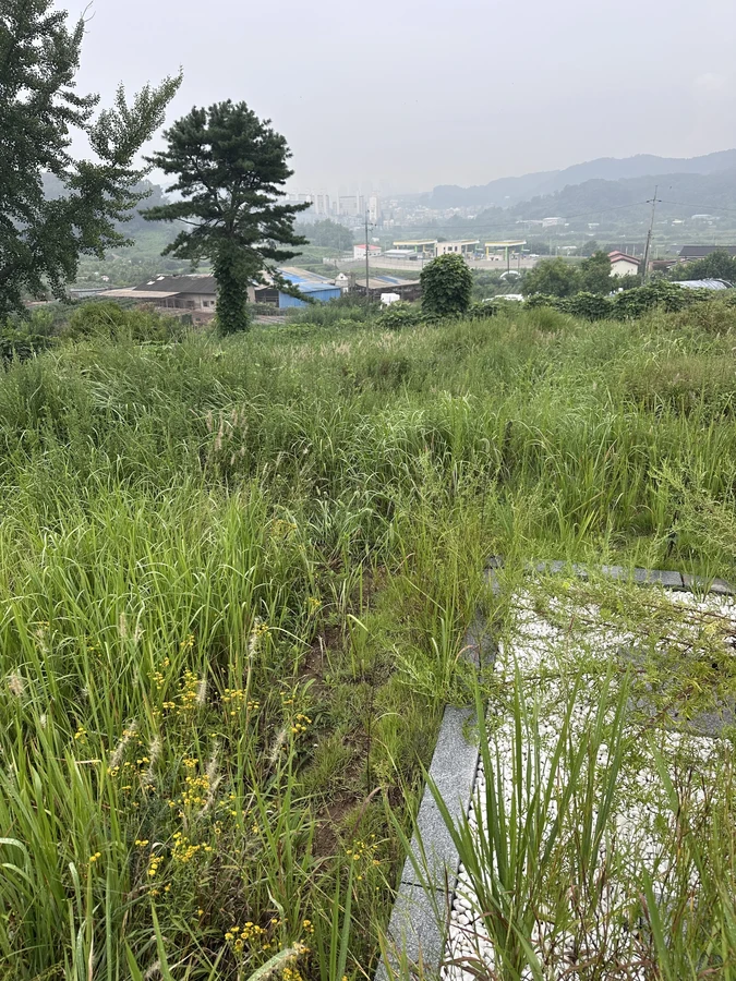 벌목,벌초