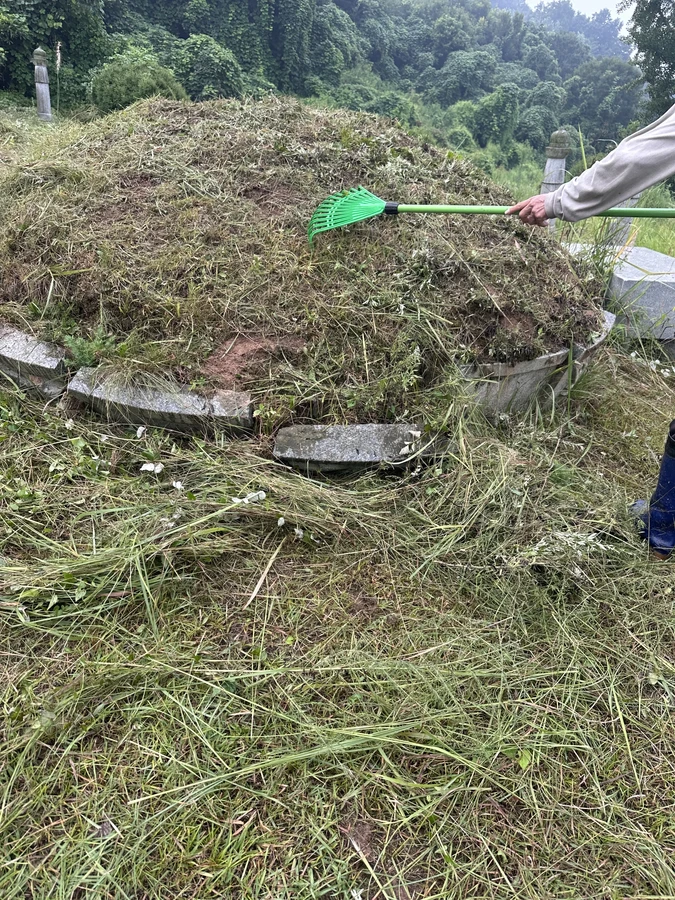 벌목,벌초