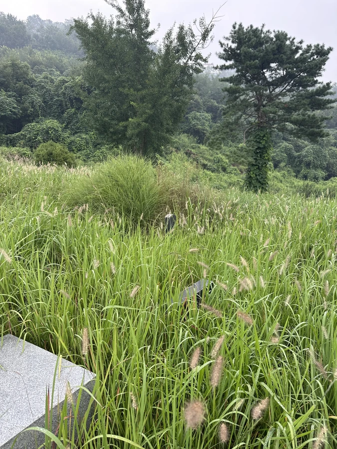 벌목,벌초