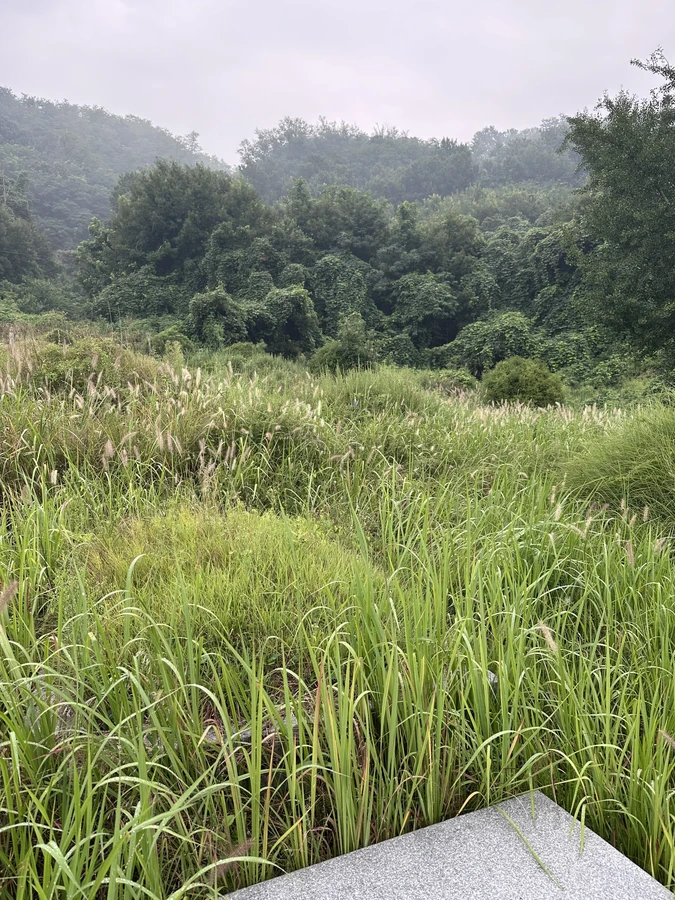 벌목,벌초