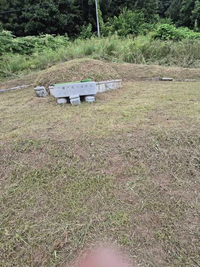 벌목,벌초