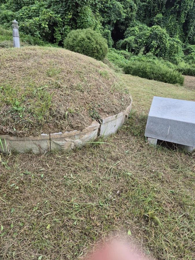 벌목,벌초