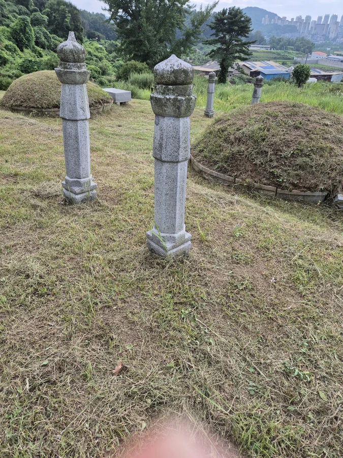 벌목,벌초