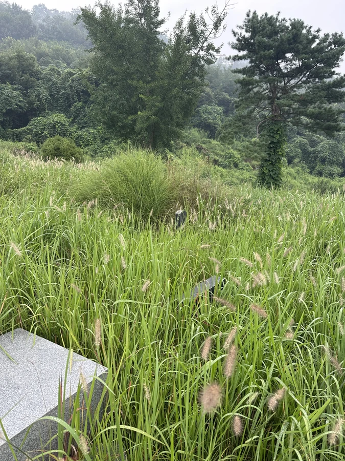 벌목,벌초