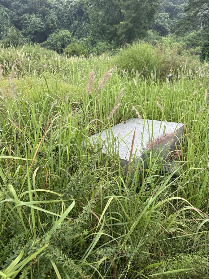 벌목,벌초