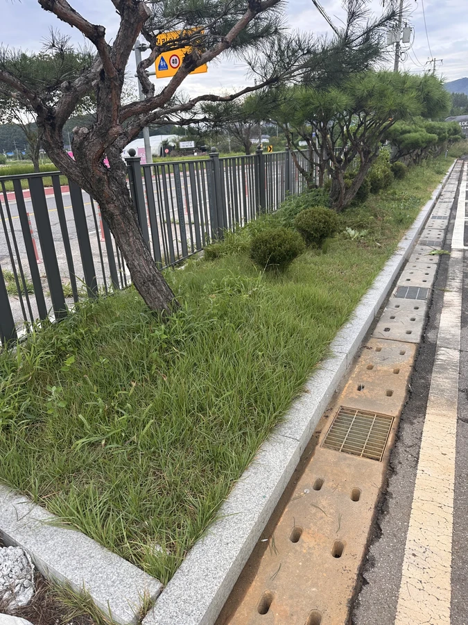 벌목,벌초
