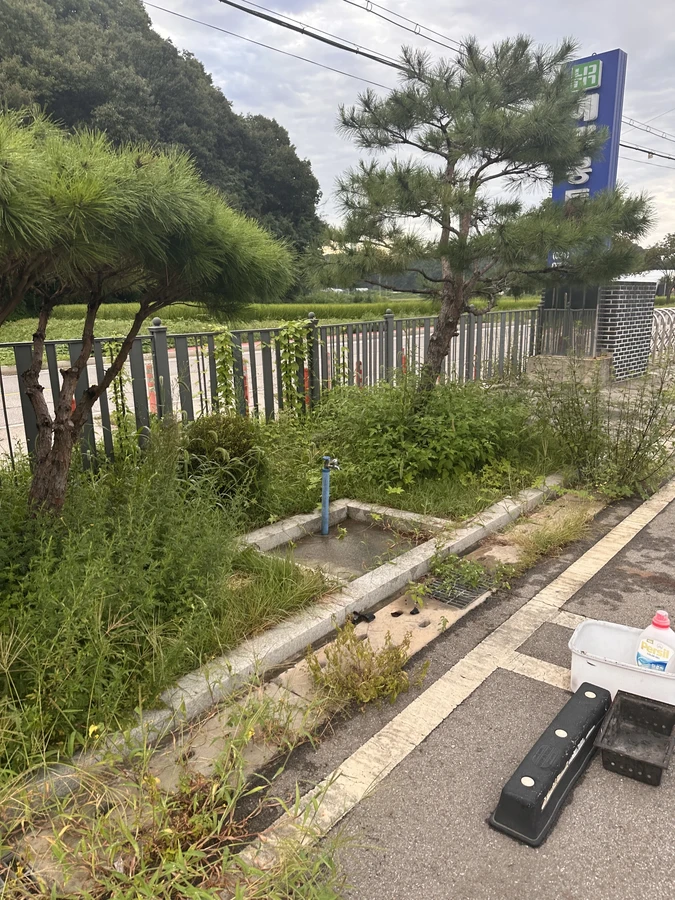 벌목,벌초