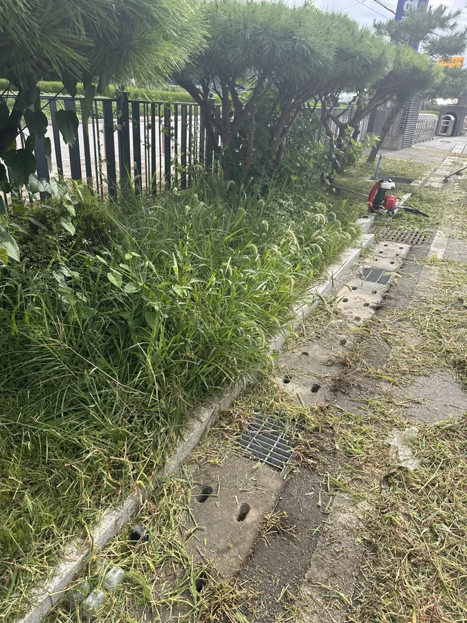 벌목,벌초