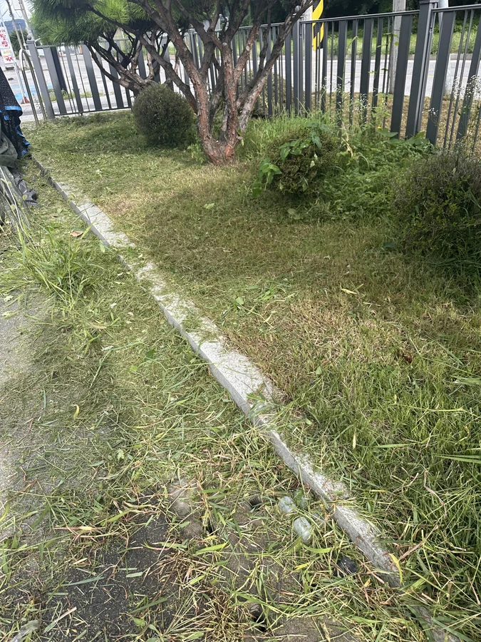 벌목,벌초