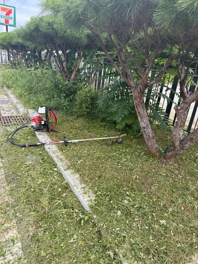벌목,벌초