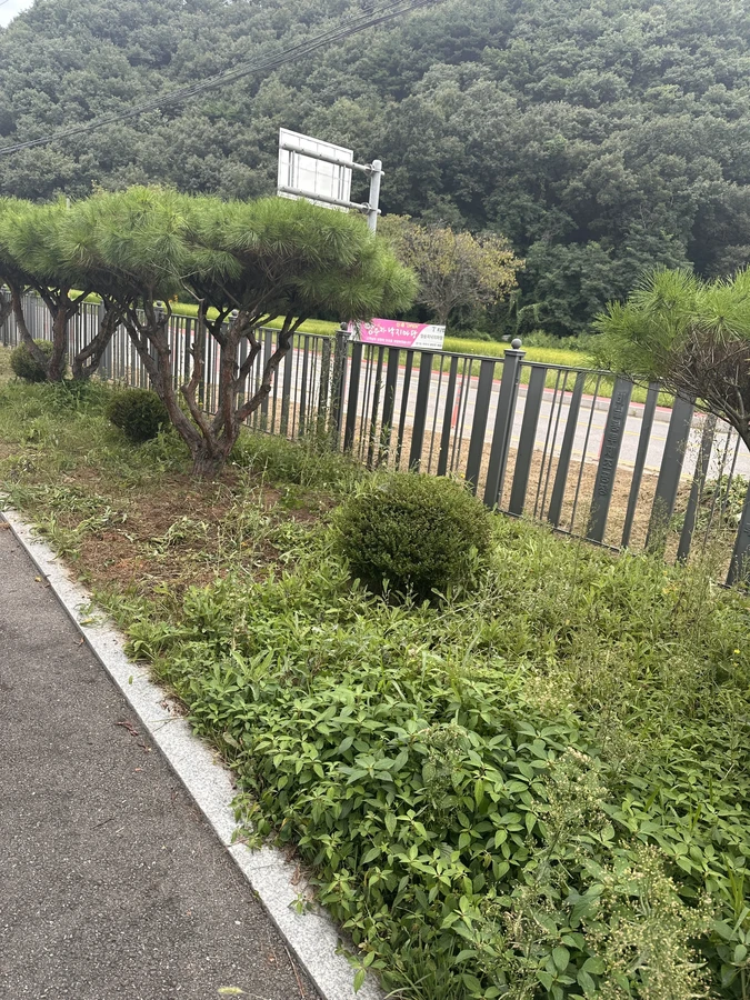 벌목,벌초