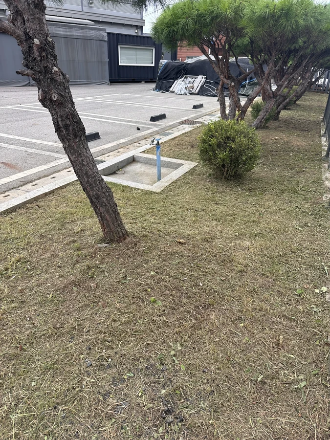 벌목,벌초