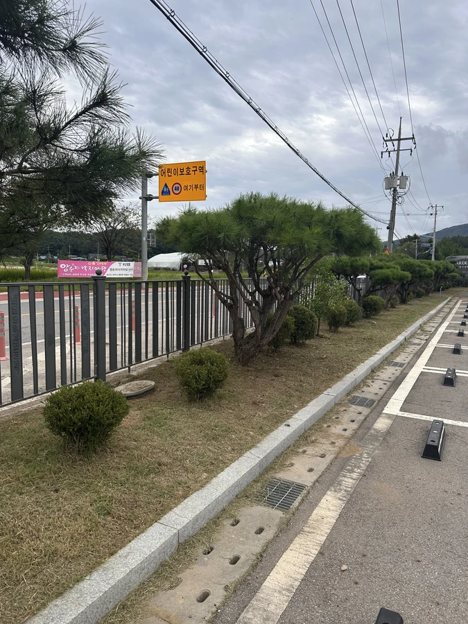 벌목,벌초