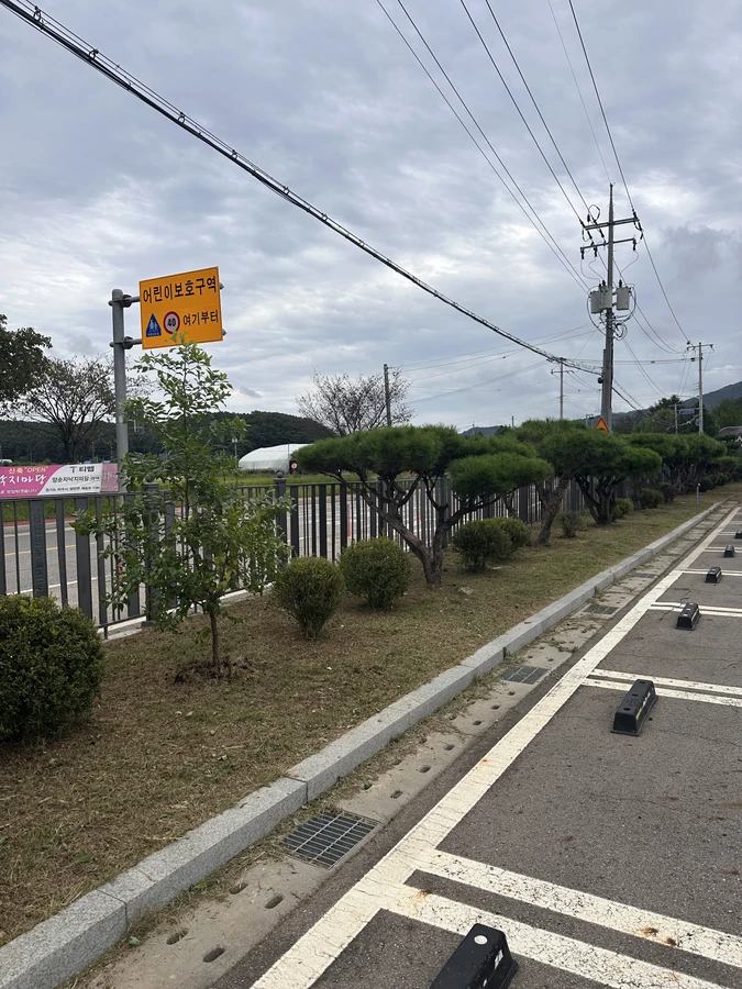 벌목,벌초