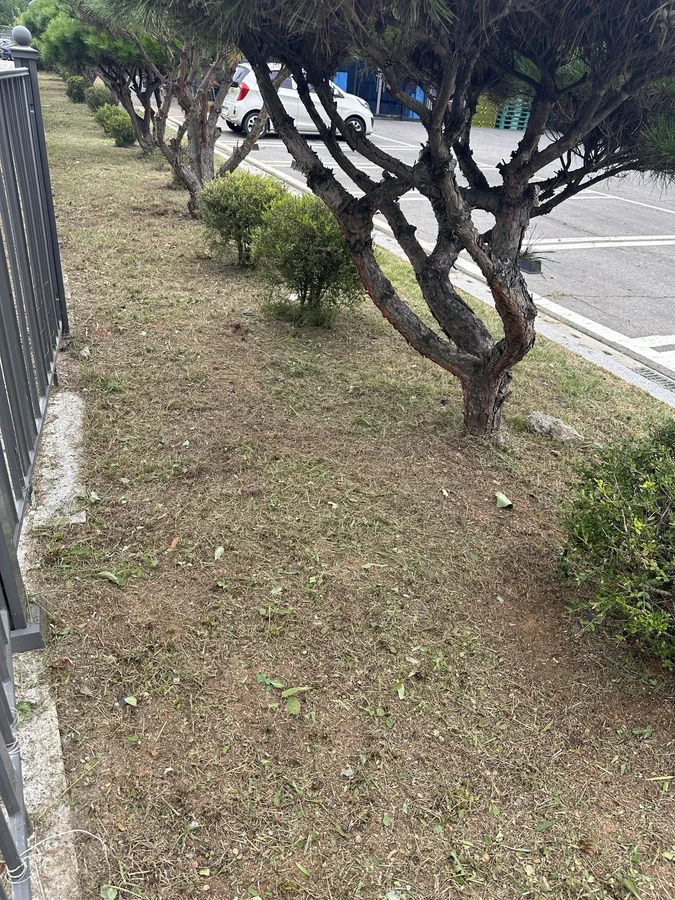 벌목,벌초