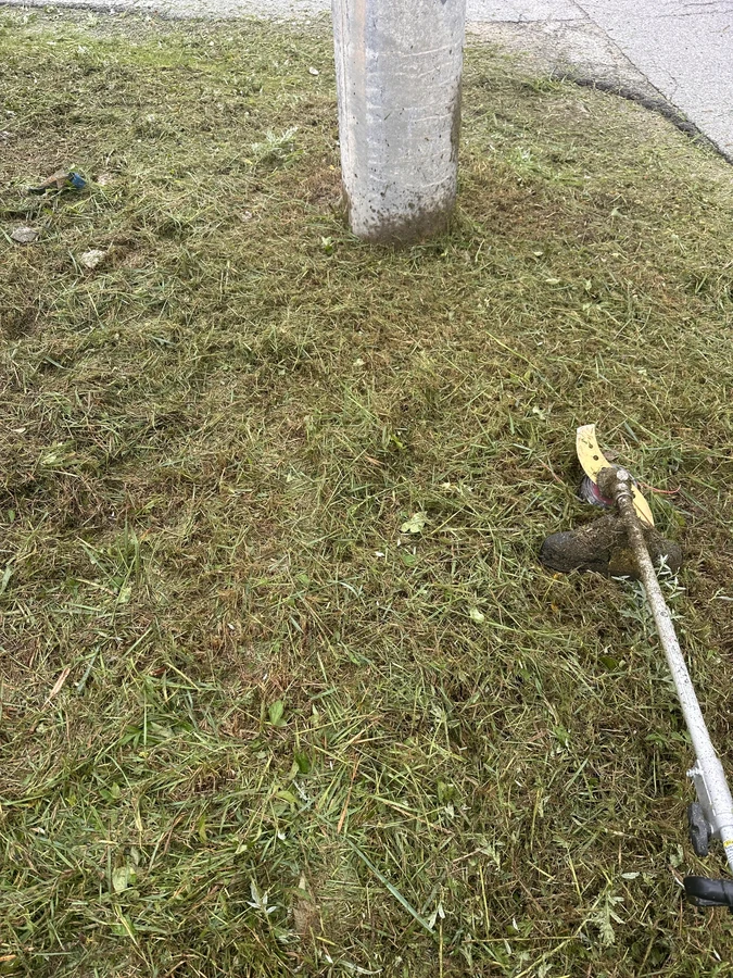 벌목,벌초