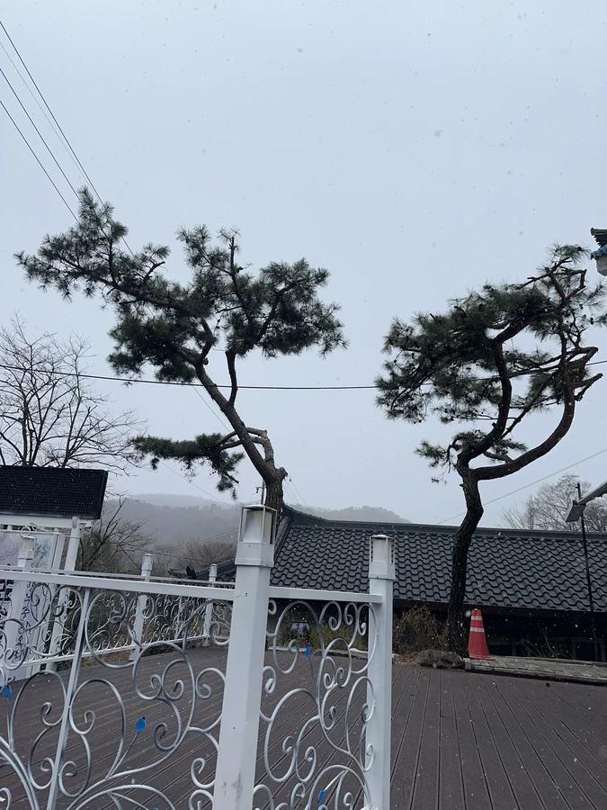 벌목,벌초