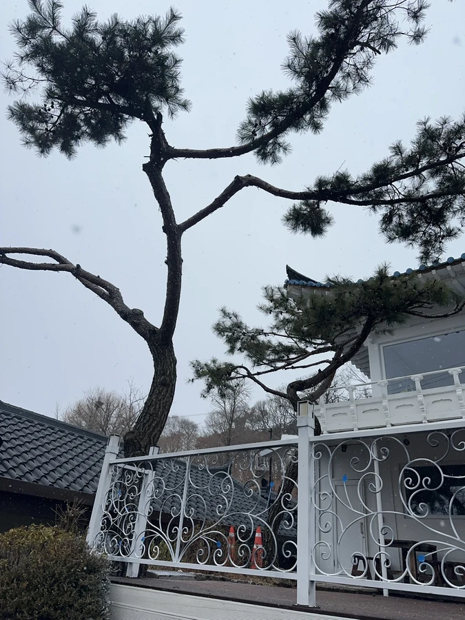 벌목,벌초
