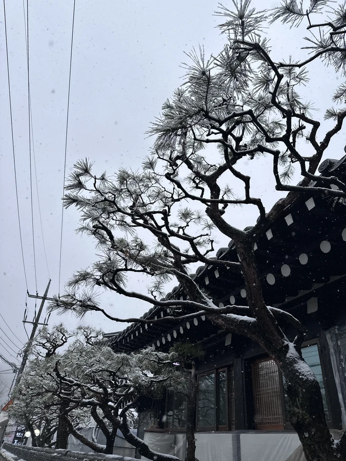 벌목,벌초