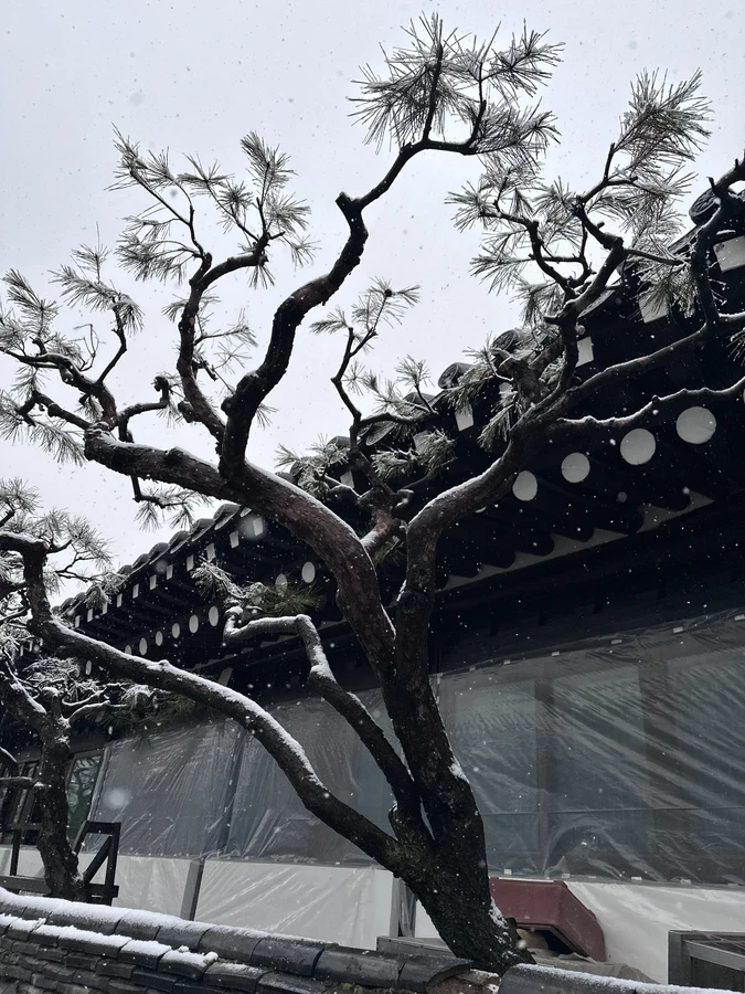 벌목,벌초