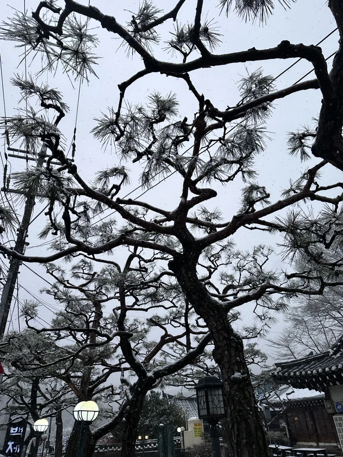벌목,벌초