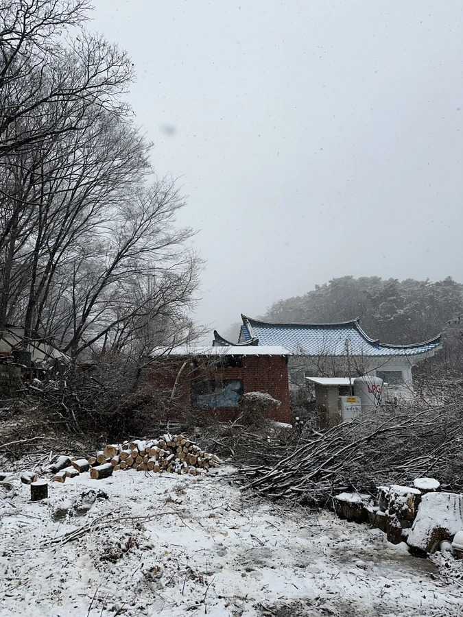 벌목,벌초