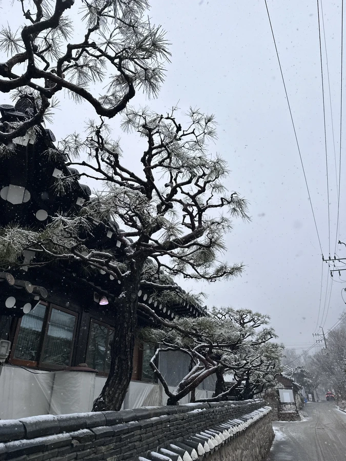 벌목,벌초