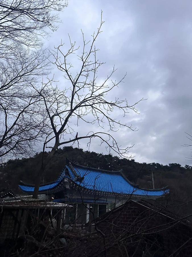 벌목,벌초
