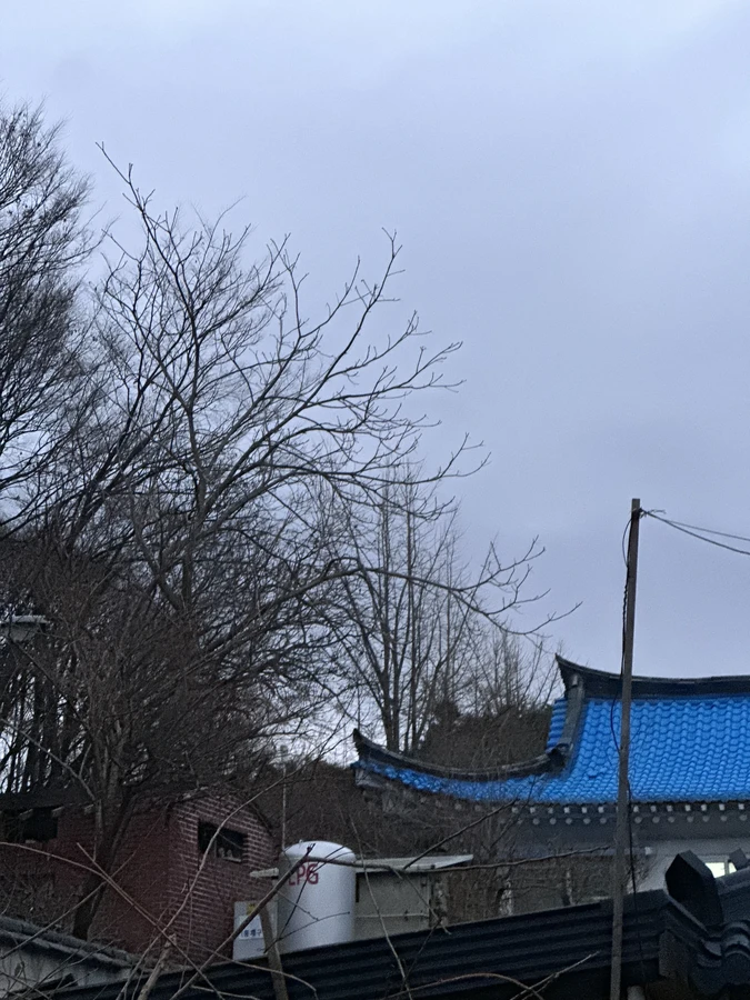 벌목,벌초