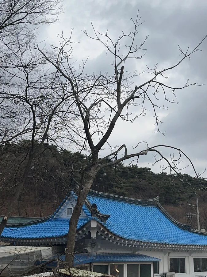 벌목,벌초