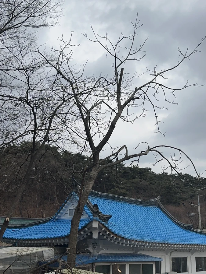 벌목,벌초