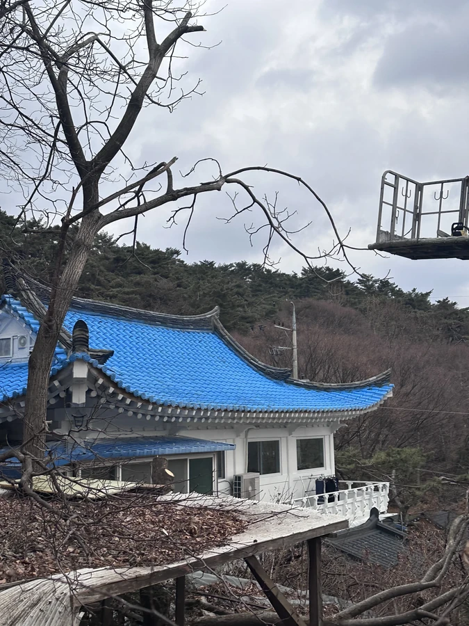 벌목,벌초