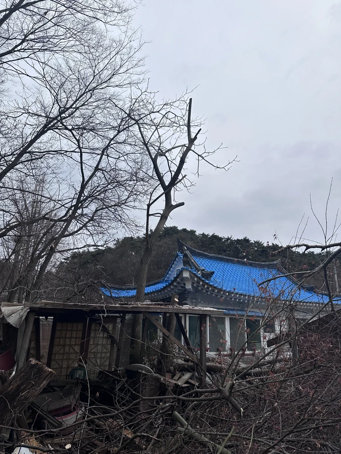 벌목,벌초