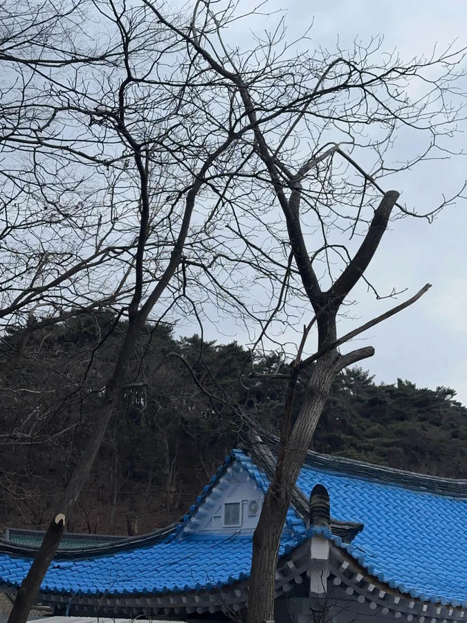 벌목,벌초