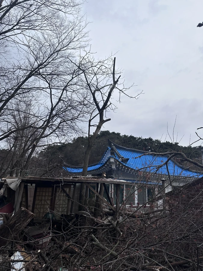 벌목,벌초