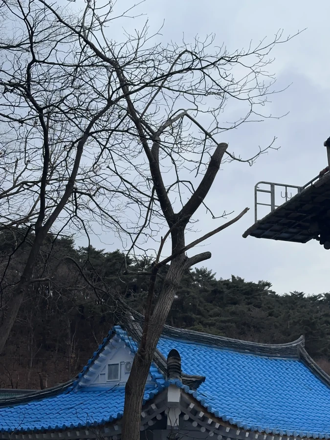 벌목,벌초