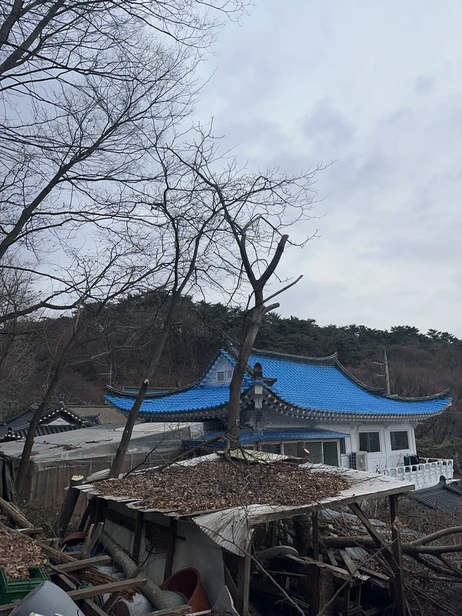 벌목,벌초