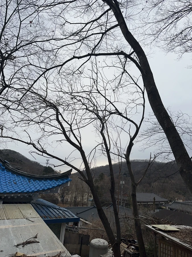 벌목,벌초