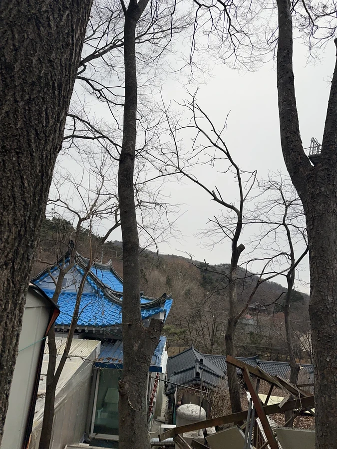 벌목,벌초