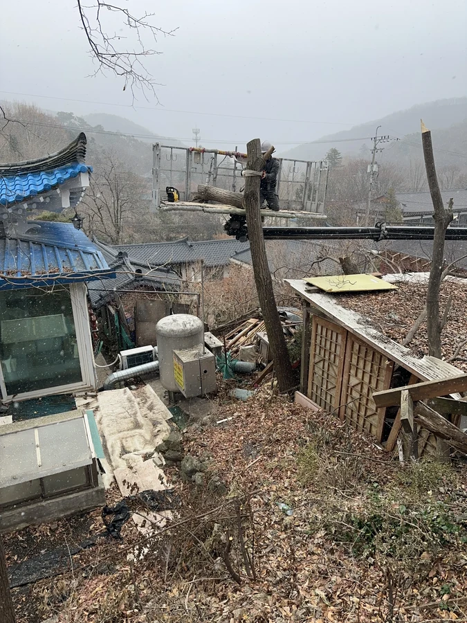 벌목,벌초