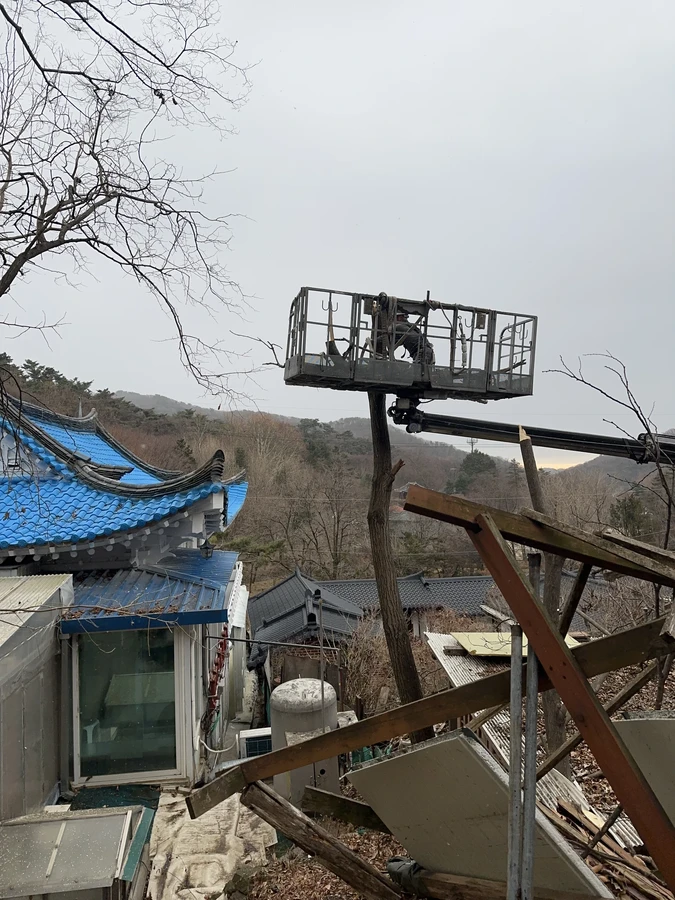 벌목,벌초