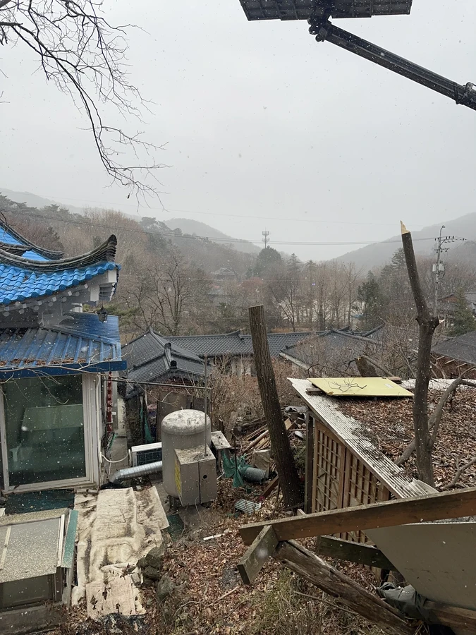 벌목,벌초
