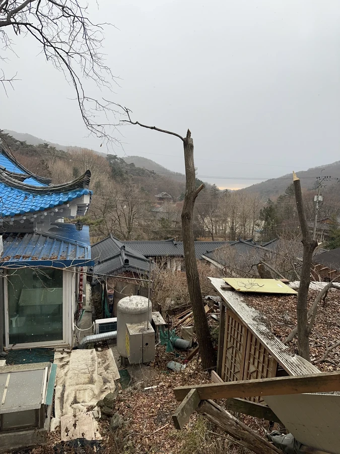 벌목,벌초
